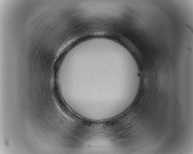 X0000099580728200806131317