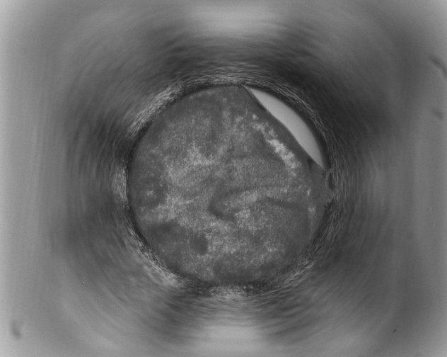 X0000099580729200806131317