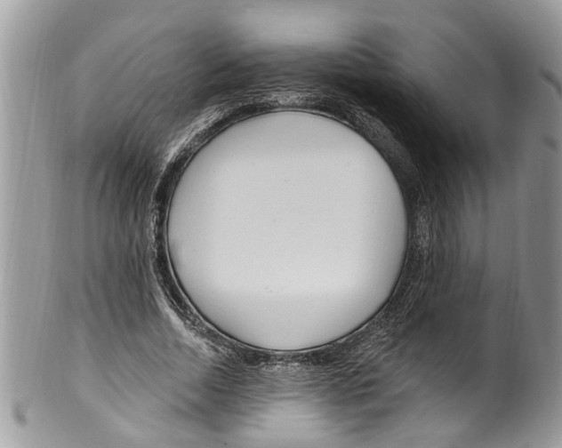 X0000099580730200806131317