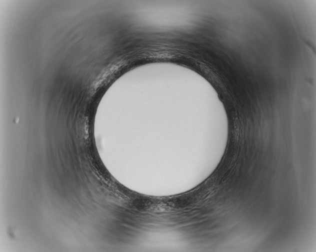 X0000099580731200806131317