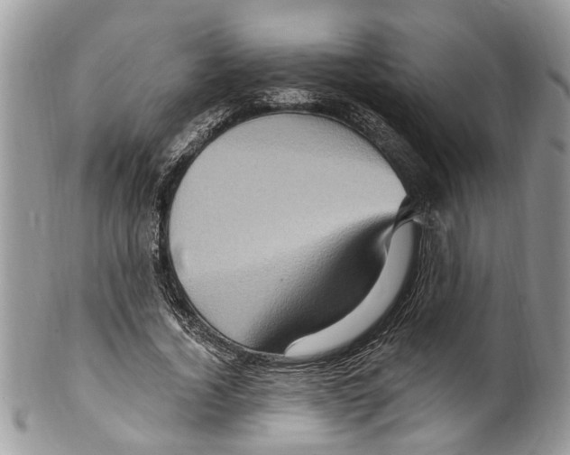 X0000099580732200806131318