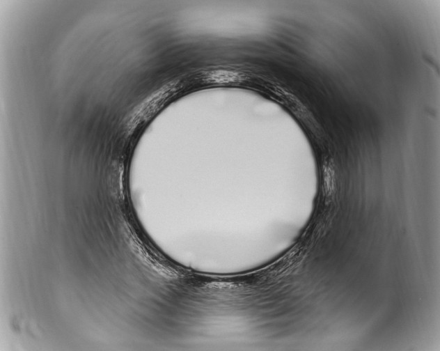 X0000099580733200806131318