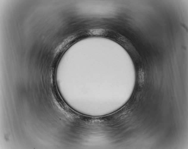 X0000099580734200806131318