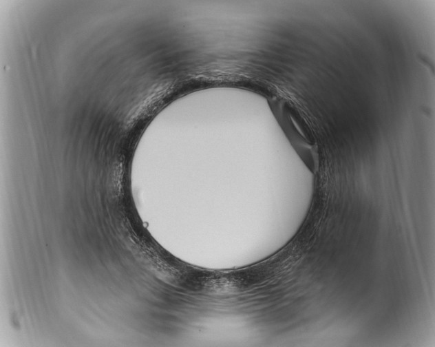 X0000099580735200806131318