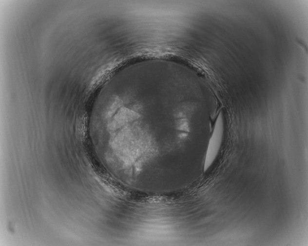 X0000099580736200806131318