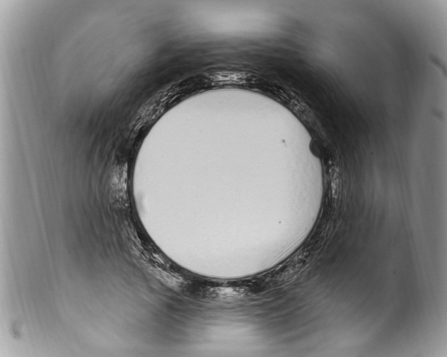 X0000099580737200806131318