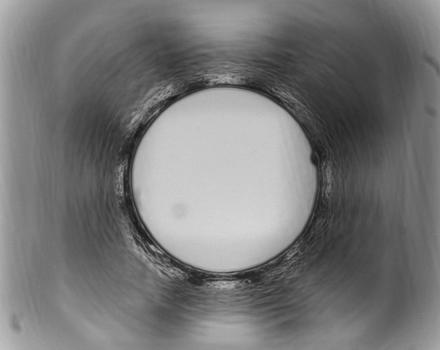 X0000099580738200806131318