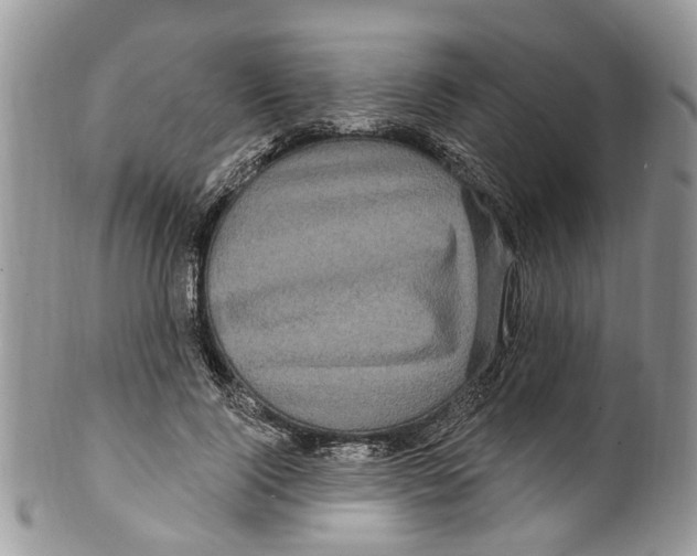 X0000099580740200806131318