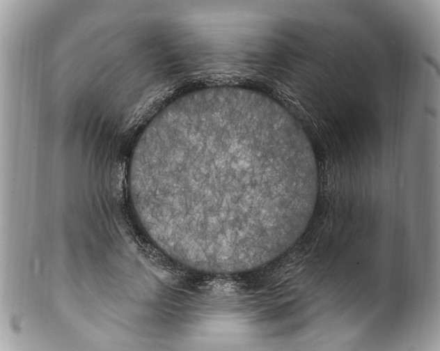 X0000099580742200806131318