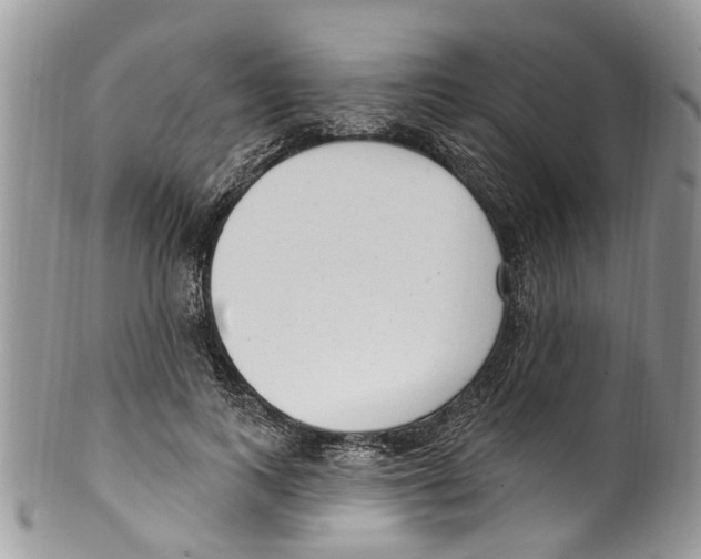 X0000099580743200806131318