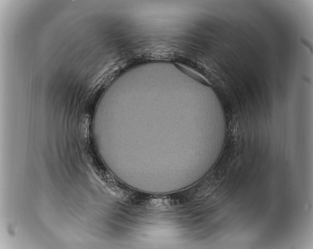 X0000099580744200806131318