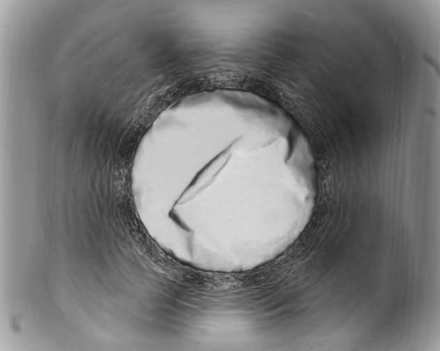 X0000099580745200806131318