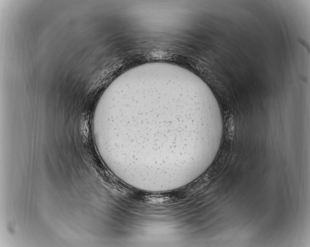 X0000099580746200806131318