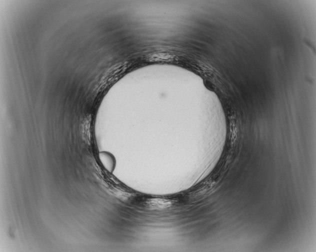 X0000099580749200806131318