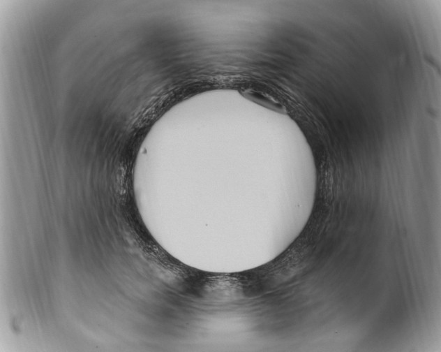 X0000099580750200806131318