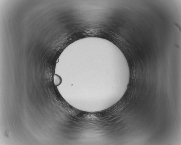 X0000099580751200806131318