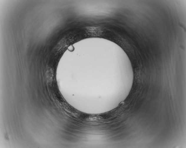 X0000099580752200806131318