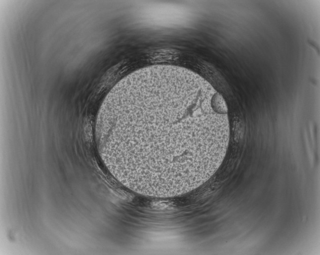 X0000099580753200806131318