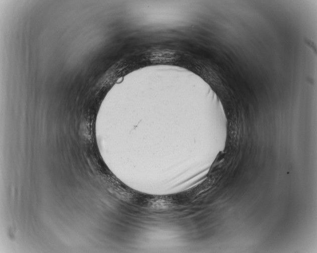 X0000099580755200806131318