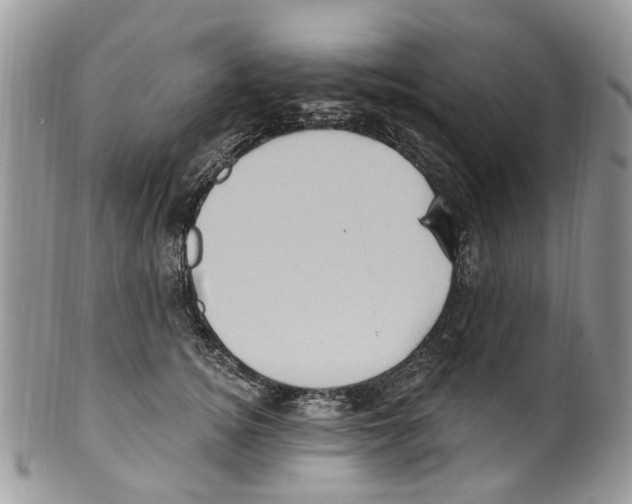 X0000099580756200806131318