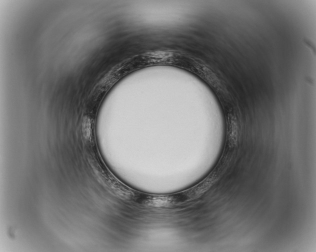 X0000099580758200806131318