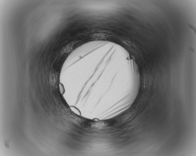 X0000099580759200806131318