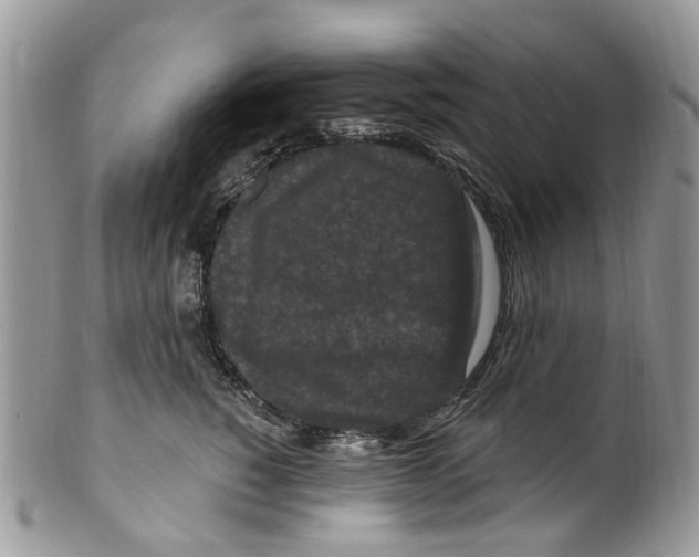 X0000099580760200806131318