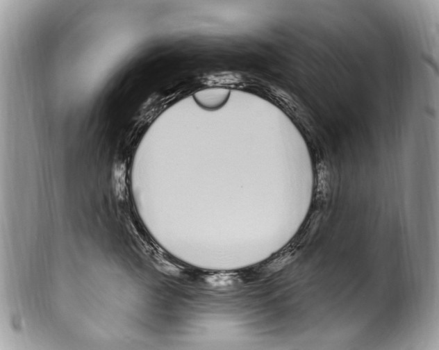 X0000099580761200806131318