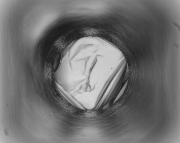 X0000099580762200806131318