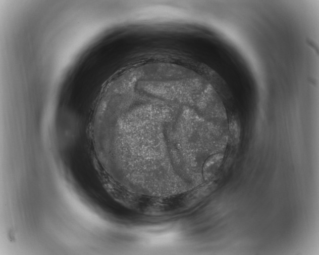 X0000099580765200806131318