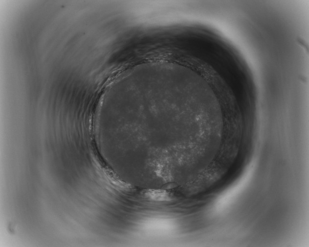 X0000099580767200806131318