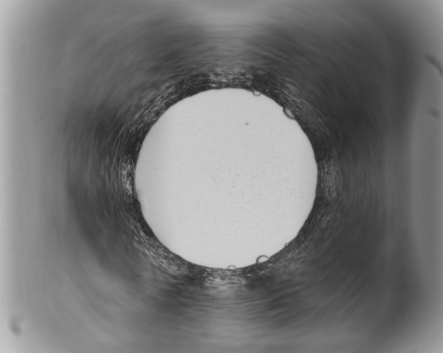 X0000099580770200806131317