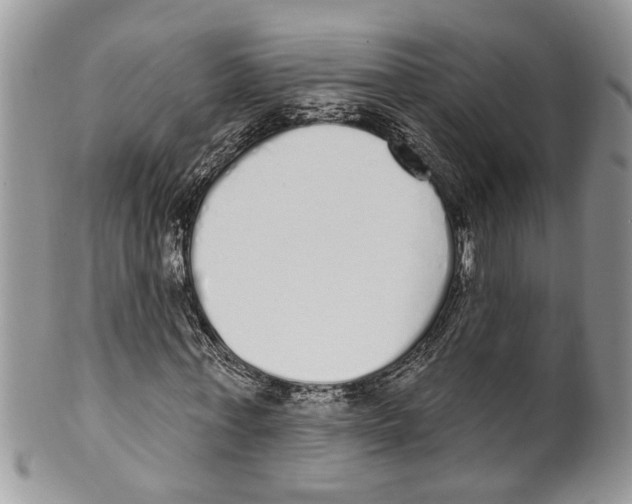 X0000099580771200806131317