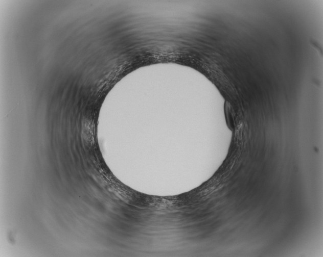 X0000099580772200806131317