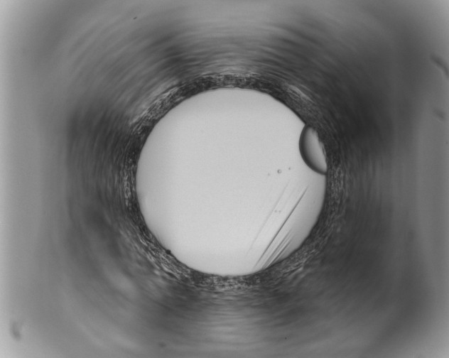 X0000099580774200806131317