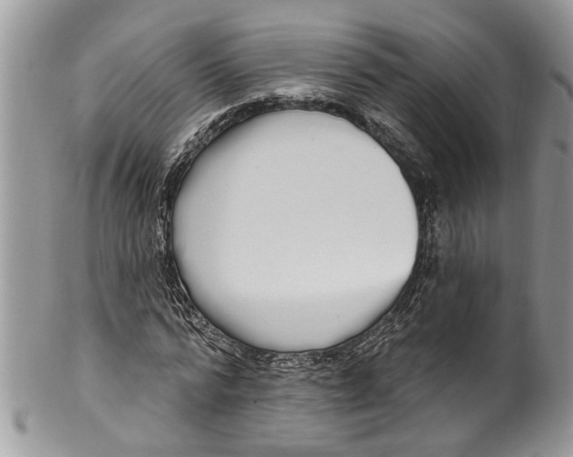 X0000099580776200806131317