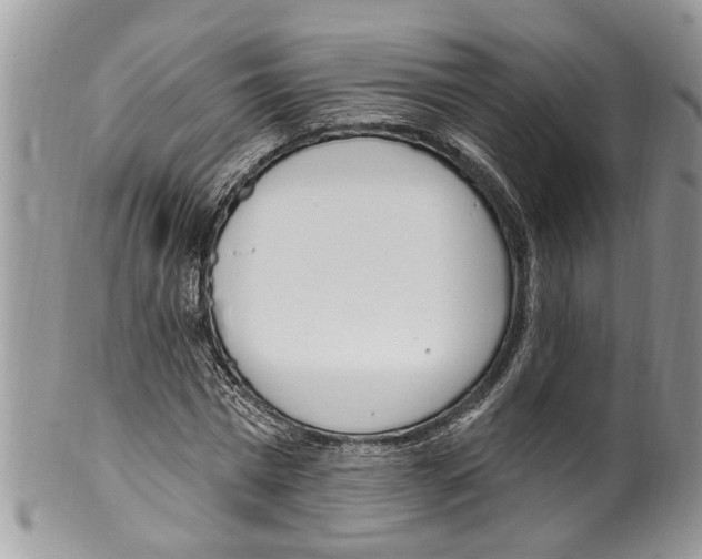 X0000099580777200806131317