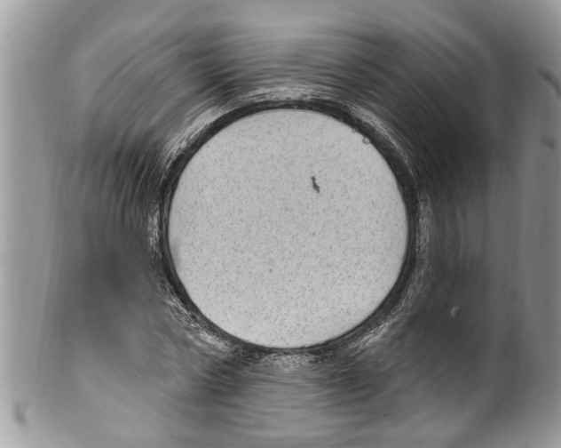 X0000099580778200806131317