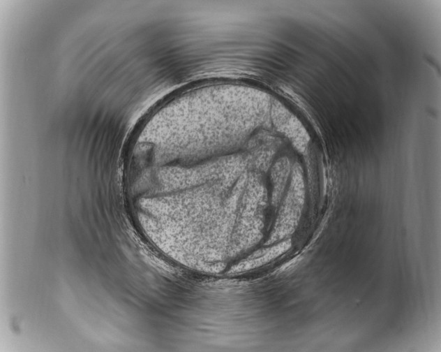 X0000099580779200806131317