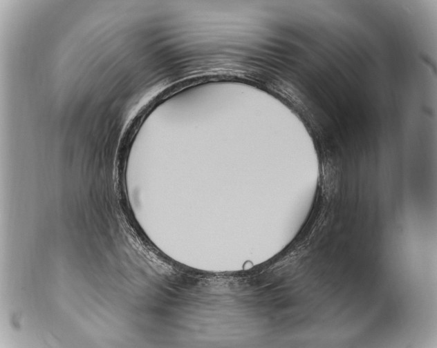 X0000099580780200806131317