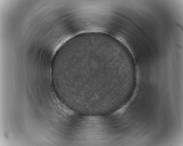 X0000099580781200806131317