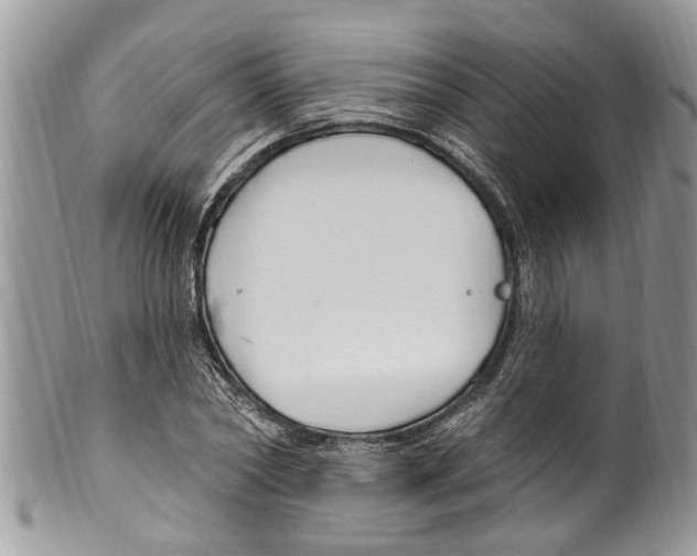 X0000099580782200806131317