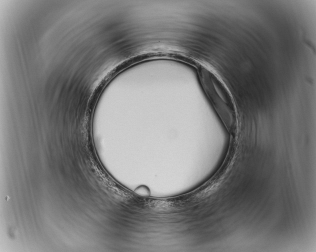 X0000099580783200806131317