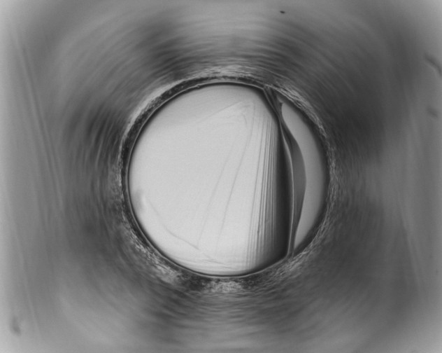 X0000099580784200806131317