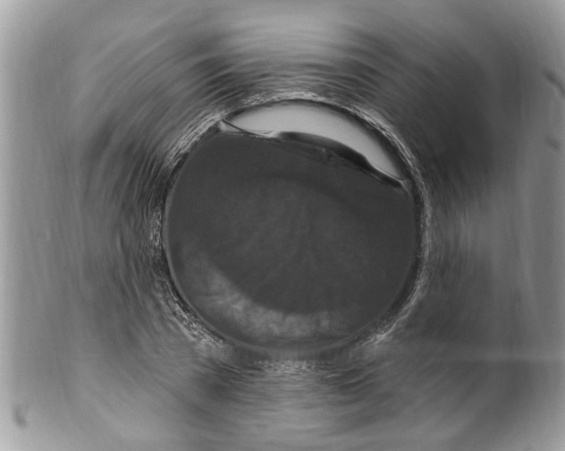 X0000099580785200806131317