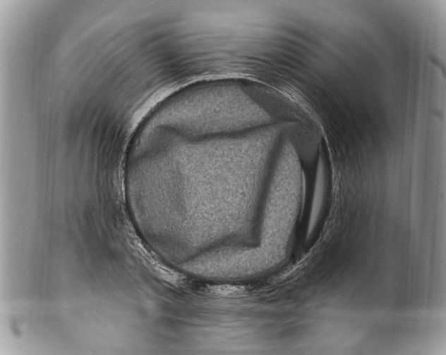 X0000099580789200806131317