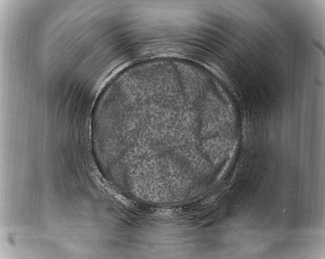 X0000099580790200806131317