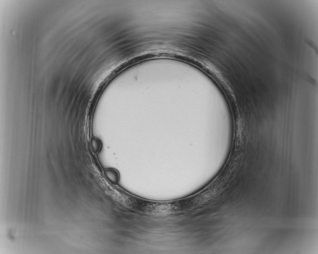 X0000099580791200806131317