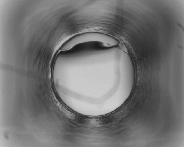 X0000099580792200806131317