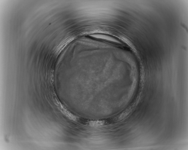 X0000099580793200806131317